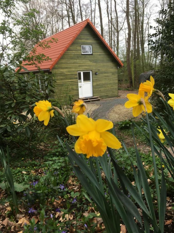 Villa Heil-Haus-Ohlenbusch Worpswede Exterior foto